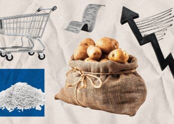 Де знайти найдешевші яйця та хліб: супермаркети показали нові ціни на продукти 2 липня