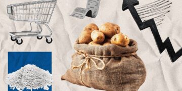 Де знайти найдешевші яйця та хліб: супермаркети показали нові ціни на продукти 2 липня