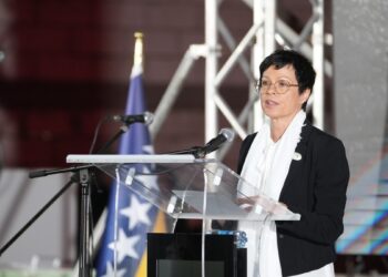 Кос: окрім виконання Україною критеріїв щодо членства, потрібні політичні зобов’язання лідерів ЄС