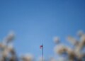 США вимагають від країн обрати сторону в гонці ШІ з Китаєм – Reuters