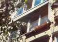 У Києві жінка викинула пінчера з балкона під час застілля: собака загинув, винуватиці загрожує до 8 років