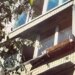 У Києві жінка викинула пінчера з балкона під час застілля: собака загинув, винуватиці загрожує до 8 років