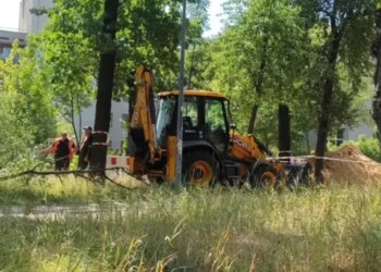 Роботи з видалення дерев на Теремках – КМДА не ухвалювала рішень