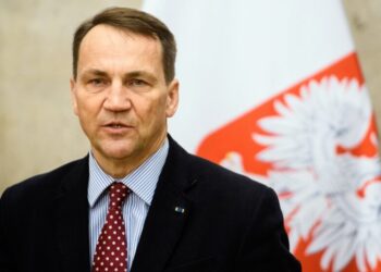 Сикорский предложил создать “Европейский легион” с привлечением украинских ветеранов