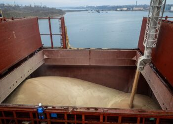 Експорт зерна з України критично скоротиться через удари РФ по портах