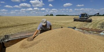 Україна може не вивезти 9 млн тонн зерна: під загрозою до 2,8 млрд доларів виручки