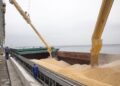 Експорт зерна з України може скоротитися на 53% через атаки РФ на порти, – Bloomberg