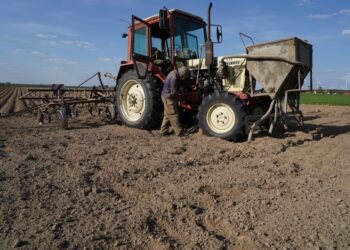 Україна залучить близько 1,6 млрд грн на підтримку аграріїв, але є нюанс