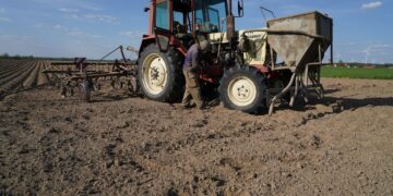 Україна залучить близько 1,6 млрд грн на підтримку аграріїв, але є нюанс