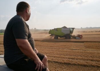 Морська блокада РФ може зірвати посівну наступного року, що загрожує світовій кризі