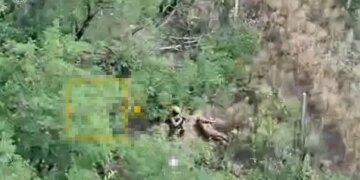 росіяни стратили двох полонених нацгвардійців поблизу Добропілля – прокуратура розпочала розслідування