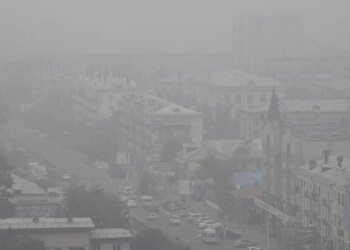 На правому березі столиці можливе задимлення через пожежі на Київщині – киянам радять зачинити вікна