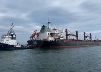 Каллас заявляє про підтримку мораторію на напади на кораблі із зерном у Чорному морі