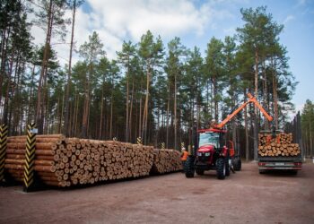 Корпоратизація ДП “Ліси України”: що зміниться з перетворенням в акціонерне товариство
