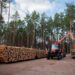 Корпоратизація ДП “Ліси України”: що зміниться з перетворенням в акціонерне товариство
