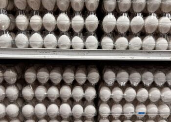 Яйця знову дорожчають: які ціни на продукти пропонують супермаркети 8 вересня