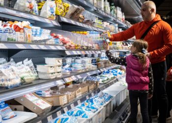 Яйця від 42 грн, гречка по 54: скільки коштують продукти в супермаркетах 1 вересня