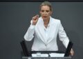 Економічний радник Путіна і керівництво AfD готують зустріч щодо відновлення поставок газу – ЗМІ