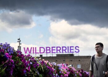 Скільки РФ втратила від ударів по складах провідних маркетплейсів Wildberries та OZON