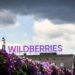 Скільки РФ втратила від ударів по складах провідних маркетплейсів Wildberries та OZON