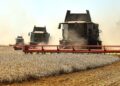 Уряд розширив страхування бізнесу на бензовози, вантажівки та сільгосптехніку
