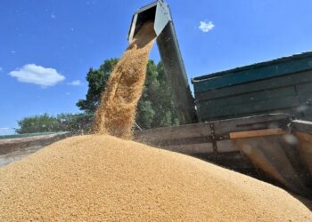 В Одесі посадовців підприємства підозрюють у допомозі рф із продажем викраденого українського зерна