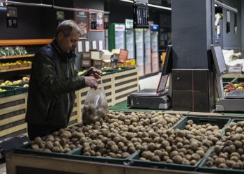 Картопля може подорожчати до 23 гривень за кілограм: що буде з цінами до кінця року