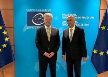 Порошенко обговорив із генсеком Ради Європи План дій для України на 2027-30 роки