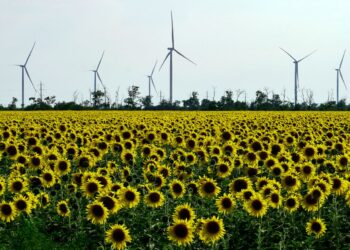 Попри руйнування потужностей: у ДТЕК заявили про нові інвестиційні проєкти
