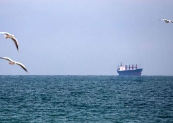 Росіяни б’ють по цивільних суднах у Чорному морі: світ закликають до жорстких санкцій