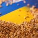 Politico: Польша и Румыния отказали Украине в помощи с вывозом зерна